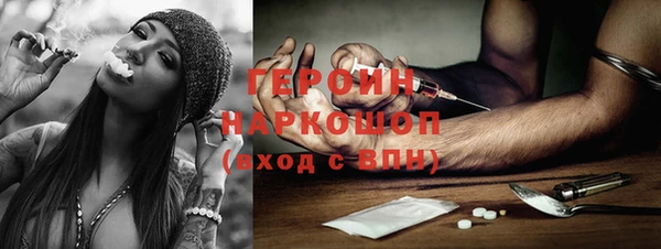 индика Беломорск