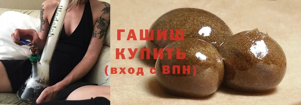 индика Беломорск