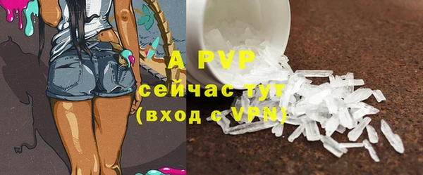 mdpv Богданович