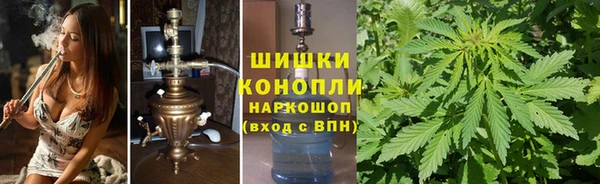 кокс Белокуриха