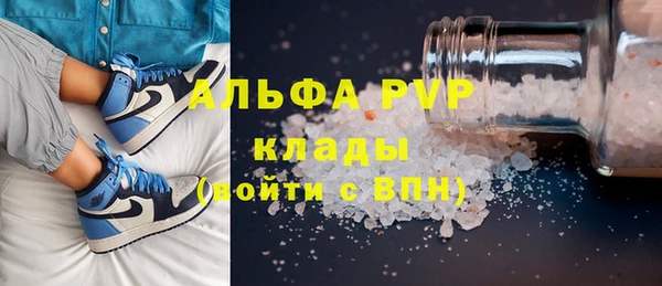 индика Беломорск