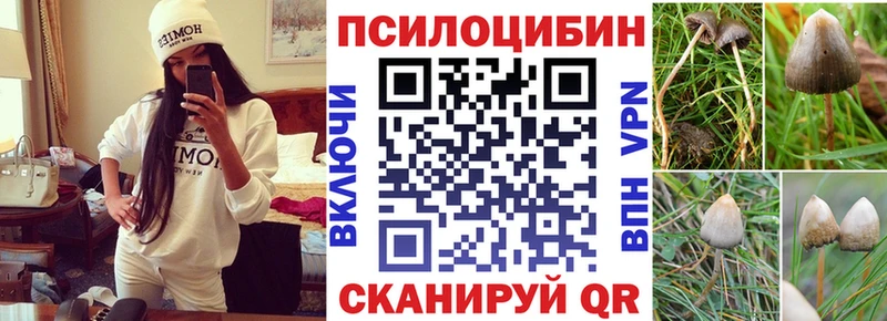 дарк нет состав  Белоярский  Псилоцибиновые грибы Cubensis 