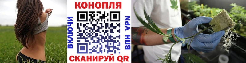 Шишки марихуана план  цена   Белоярский 